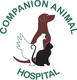Veterinarian in Austin, TX | Companion Animal Hospital